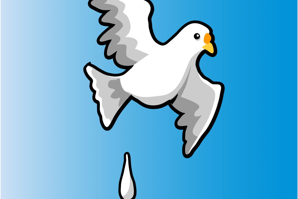 Teil 1.2 – Höhenflug und Vogelschiss